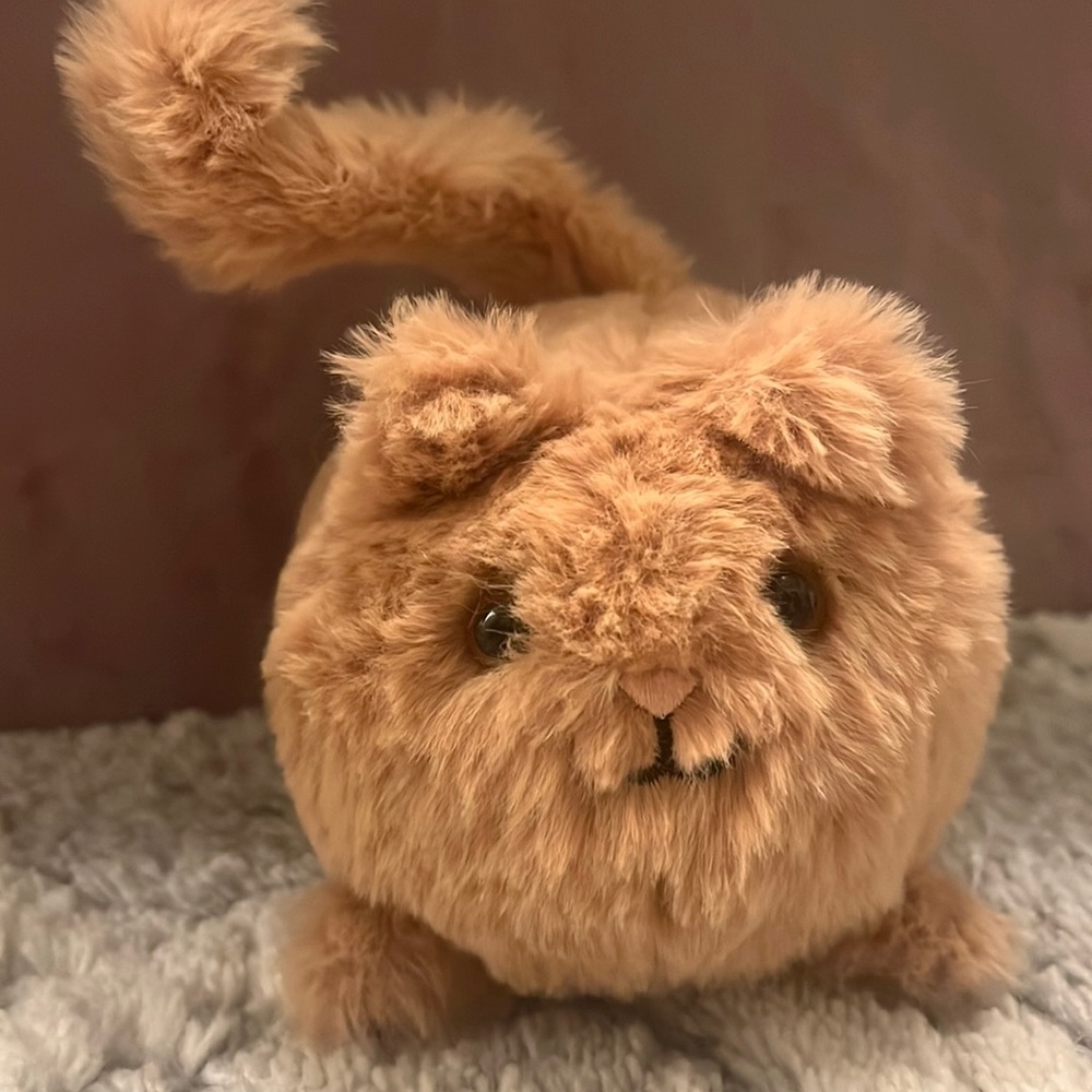 Jellycat cat